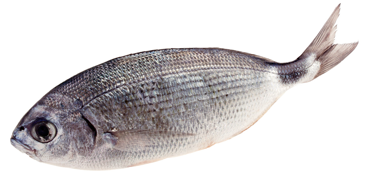 Pesce magro: qual è il più adatto a chi è a dieta?